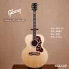 ۳ Gibson SJ-200 Custom Elite