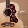 ۳ Gibson SJ-200 Custom Elite