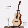 Taylor Custom TF
