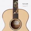 Taylor Custom TF