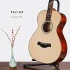 Taylor Custom TF