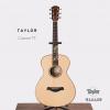 Taylor Custom TF
