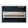 Roland MP-100 WH ɫ