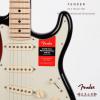 Fender ר 011-3012-700 American Professional Stratocaster