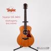 Taylor GS Mini Mahogany