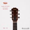Taylor GS Mini Mahogany