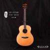 ۳ Lee guitars VCRT 00118