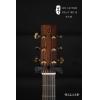  Lee Guitars VSCnT 00118 ̨ľ