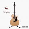 Taylor 314CE 2018 V Class