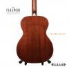 Parkwood PW-588 OM MH