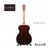 Parkwood PW-588 OM RW