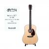 Martin D-10E 02