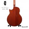 Lee guitars M30CE ʼ