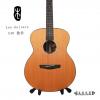 Lee guitars S40 ݷ