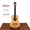 Alhambra SP-Palosanto
