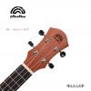aNueNue B2 - Basic II