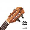aNueNue K2 - Koa II