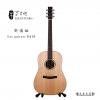 Lee guitars DJ30 ʼ