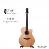 Lee guitars S30CE ʼ