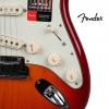 Fender 011-4001-731  ¾ӣɫ