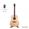 Lee guitars D30E ʼ