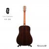 Lee guitars D30E ʼ