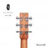 Lee guitars D30E ʼ