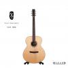 Lee guitars S30E ʼ