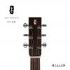 Lee guitars D30 ʼ