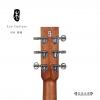 Lee guitars D30 ʼ