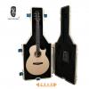 Lee Guitars M30CE ʼ