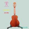 aNueNue aNN AMM2 23