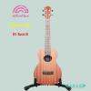 aNueNue B3 - Basic III