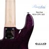 Bacchus WL5-CTM LED  ˹