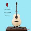 ۳ lee Guitars ǩذ
