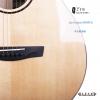 Lee Guitars M30PCE ʼ