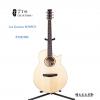 Lee Guitars M30PCE ʼ