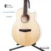 Lee Guitars M30PCE ʼ