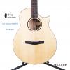 Lee Guitars M30PCE ʼ