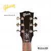 Gibson Slash J-45 ӣҽ