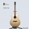 Lee Guitars  S