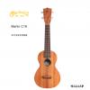 Martin C1K 23