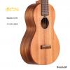 Martin C1K 23
