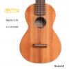 Martin C1K 23