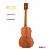 Martin T1K 26