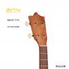 Martin T1K 26