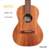 Martin T1K 26