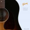 Gibson J-45 Standard