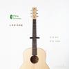 Lee Guitars  ţ 