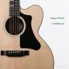 Gibson G-200 EC